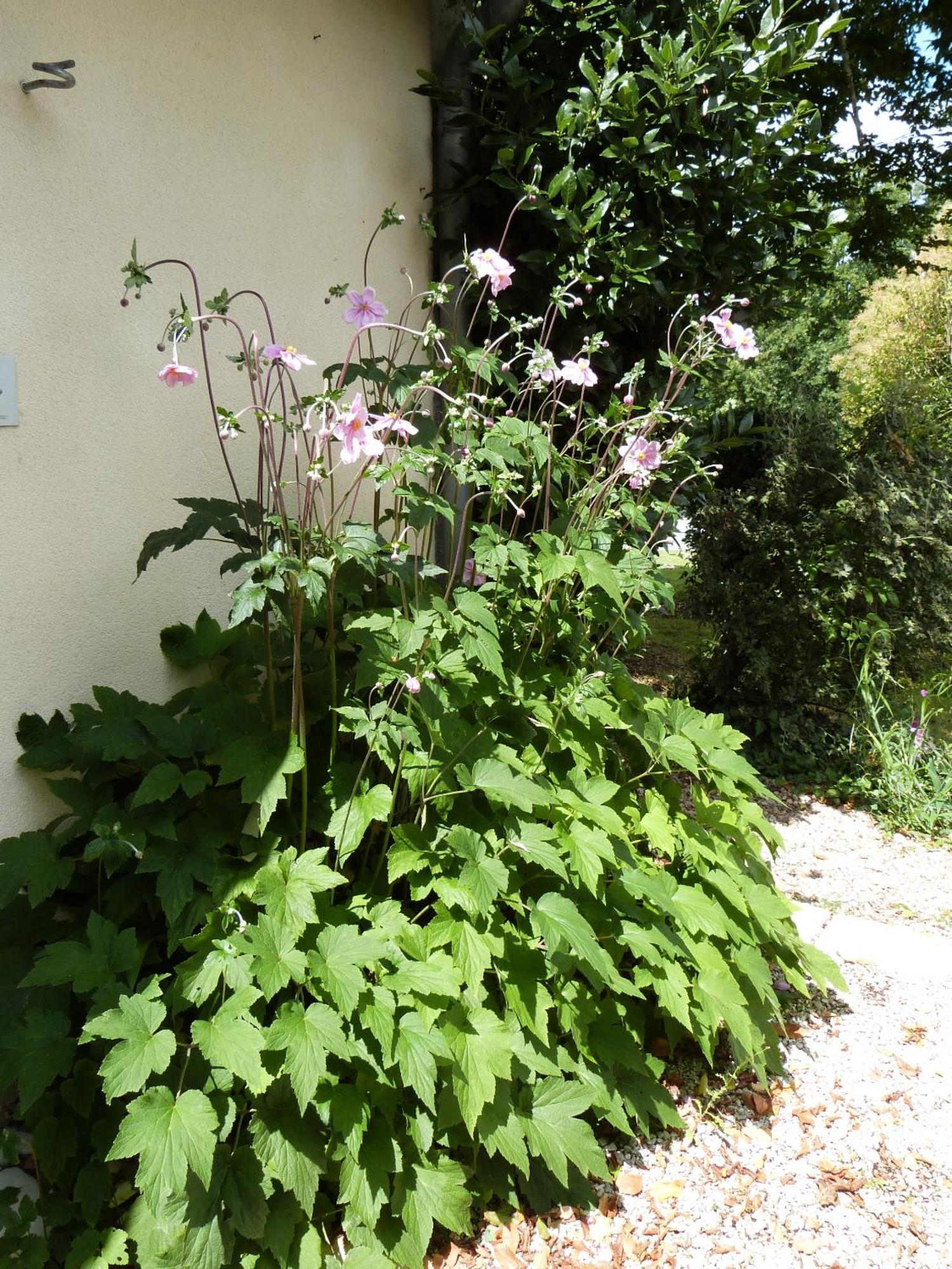 Le Logis De La Brumanderie - Saintes Fontcouverte  객실 사진